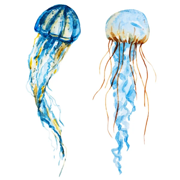 Watercolor jellyfish — Stock Vector