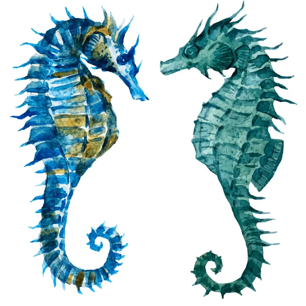 Watercolor seahorses — Stock Vector