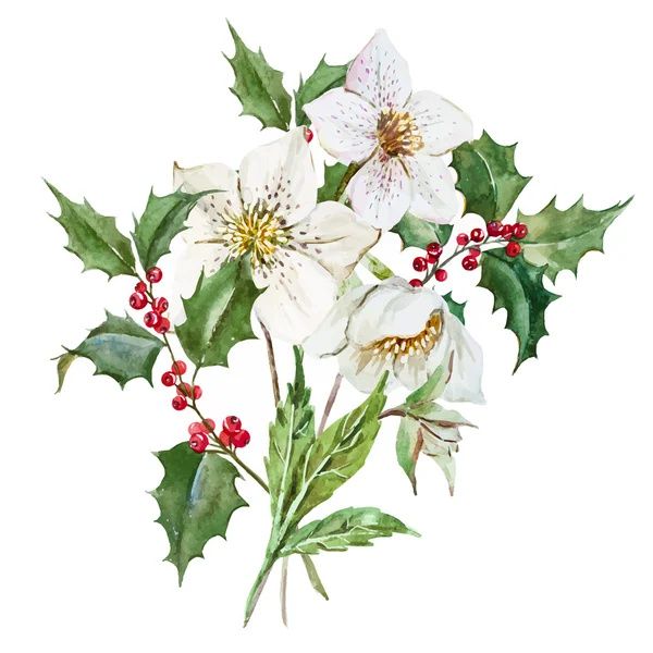 Aquarelle Fleurs de Noël — Image vectorielle
