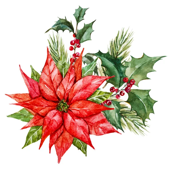 Aquarelle Fleurs de Noël — Image vectorielle