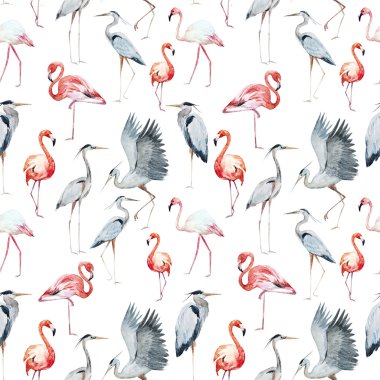 Flamngo ve heron desen