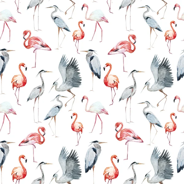 Flamngo and heron pattern — Stock Vector