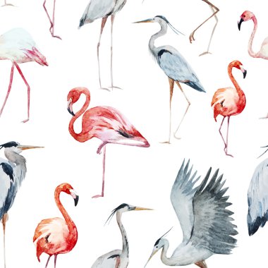 Flamngo ve heron desen
