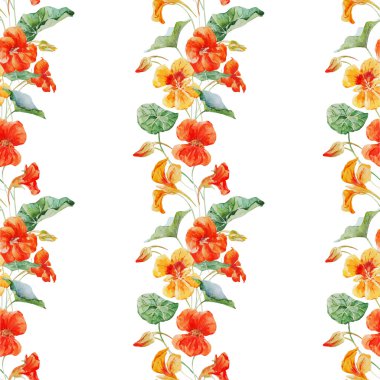Suluboya nasturtium çiçek deseni
