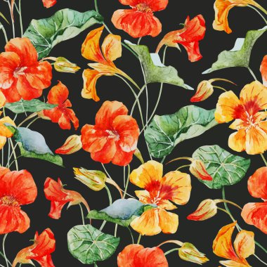 Suluboya nasturtium çiçek deseni