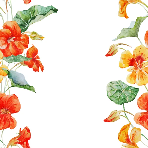 Modèle de fleur de nasturtium aquarelle — Image vectorielle