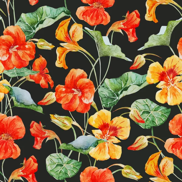 Modèle de fleur de nasturtium aquarelle — Image vectorielle