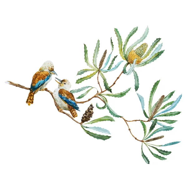 Australiensisk kookaburra fågel — Stock vektor