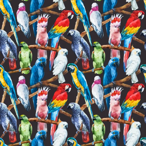 Watercolor parrot pattern — Stock Vector