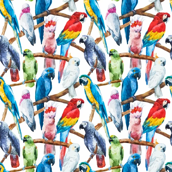 Aquarel papegaai patroon — Stockvector