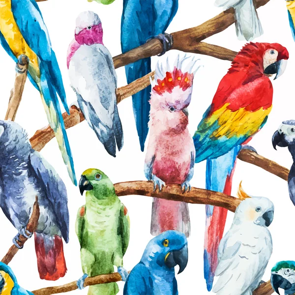 Akvarell papagáj minta — Stock Vector
