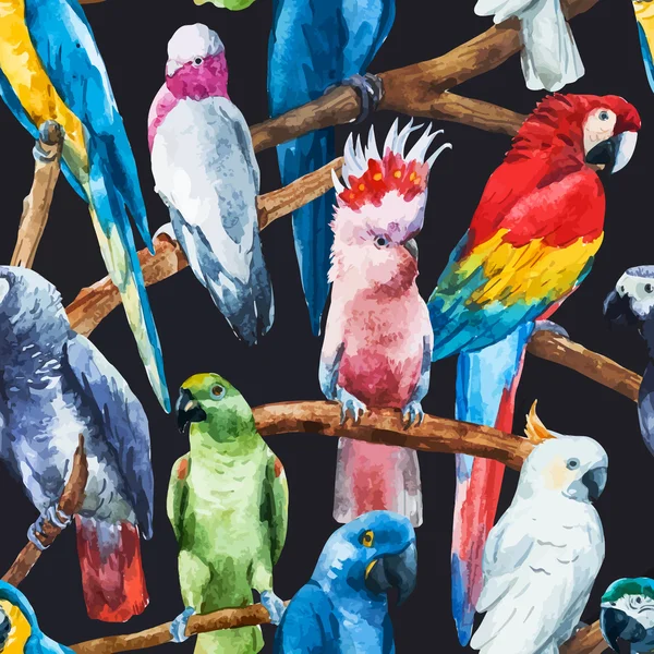 Watercolor parrot pattern — Stock Vector