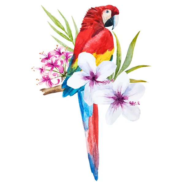 Akwarela papuga — Wektor stockowy