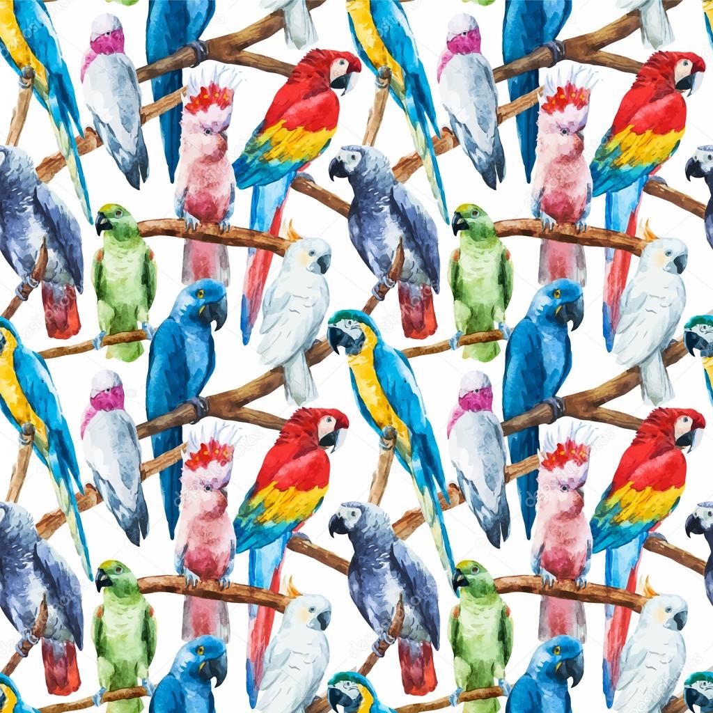 Watercolor parrot pattern