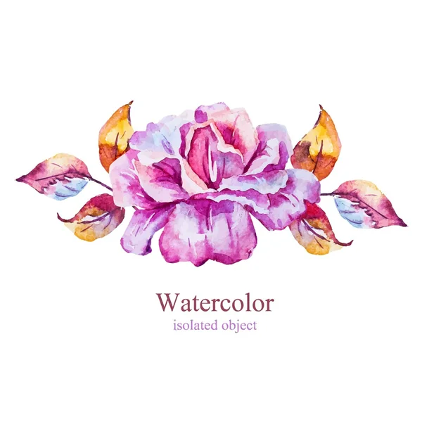 Watercolor vector flower — Stock Vector