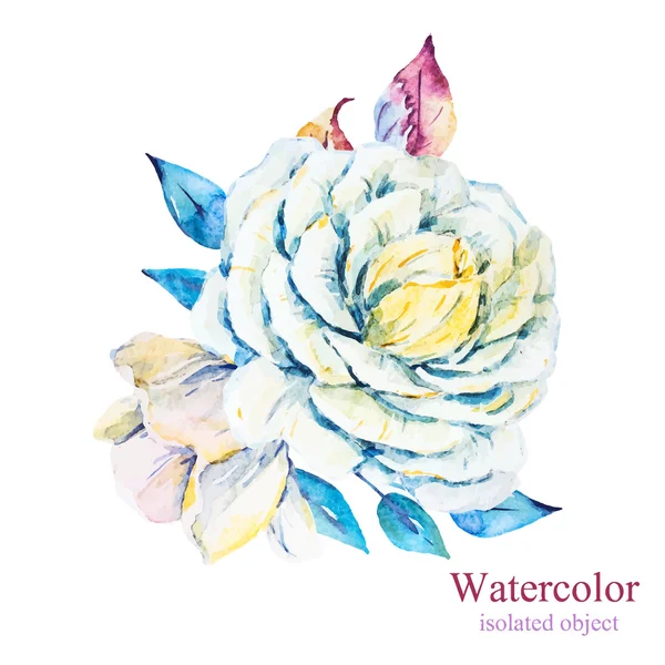水彩ベクトル花 — ストックベクタ