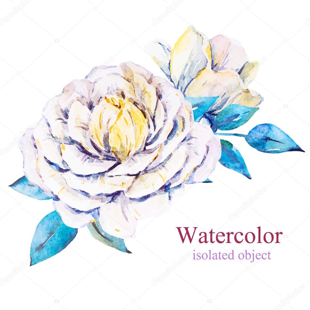 Watercolor vector flowers