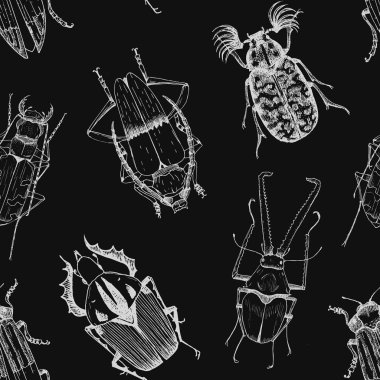 Güzel böcekleri vektör desen