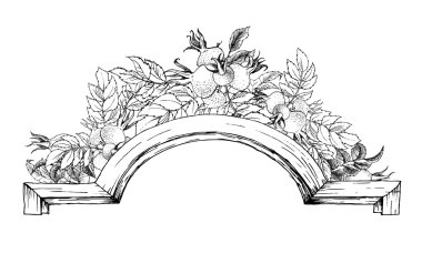 Vintage vektör çerçeve