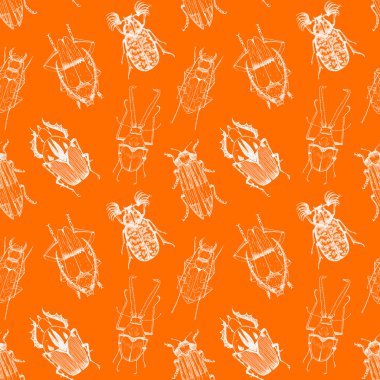 Güzel böcekleri vektör desen