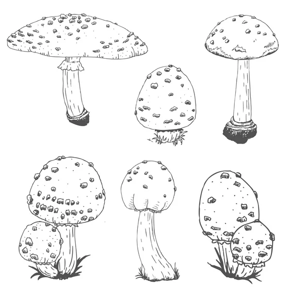 Милые векторные грибы — стоковый вектор