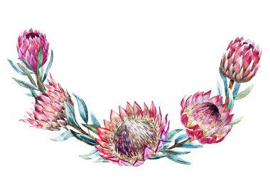 Watercolor tropical protea wreath clipart
