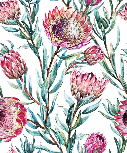 Acquerello modello protea tropicale — Vettoriale Stock