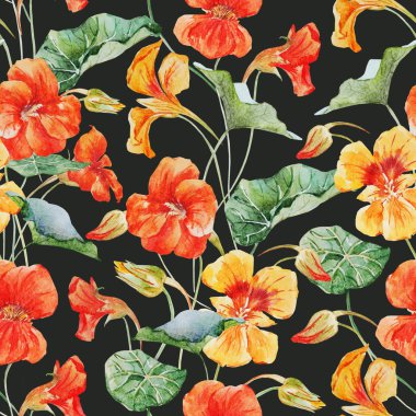 Suluboya nasturtium çiçek deseni