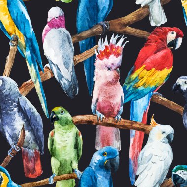 Watercolor parrot pattern clipart