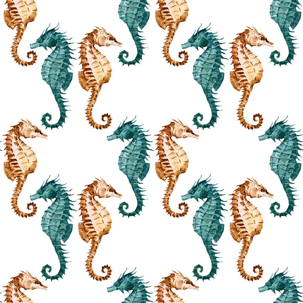 Watercolor seahorse pattern — Stock Photo, Image