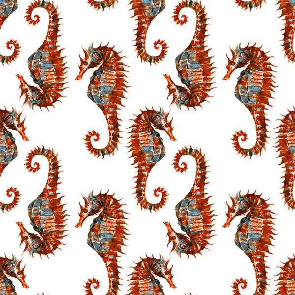 Akvarell seahorse mönster — Stockfoto
