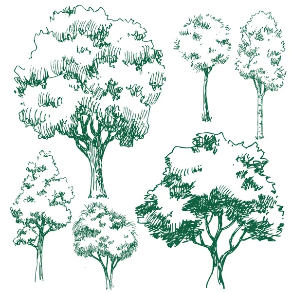 Vektör ağaçlar — Stok Vektör