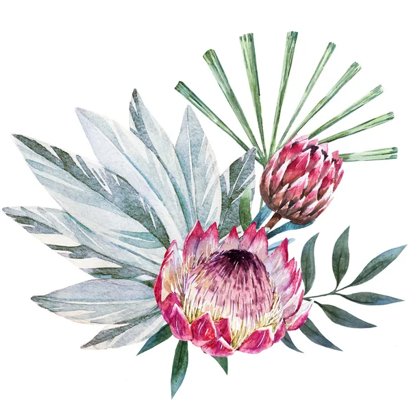 Zusammensetzung der tropischen Protea raster — Stockfoto