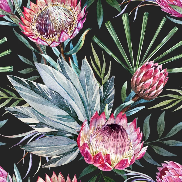 Modello di protea tropicale raster — Foto Stock