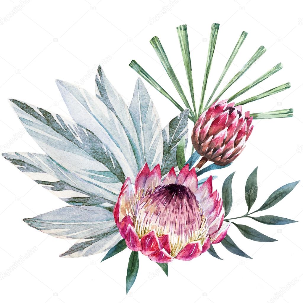 Raster tropical protea composition