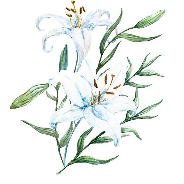 Raster watercolor lilies — Stock Photo, Image