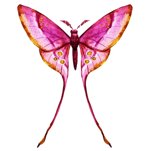 Acuarela mariposas vector — Vector de stock