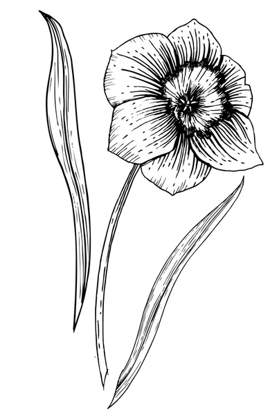 Flor vector dibujado a mano — Vector de stock