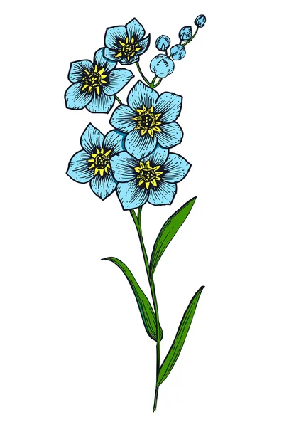 Fleurs vectorielles dessinées à la main — Image vectorielle