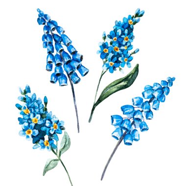 Suluboya çiçek el çekilmiş