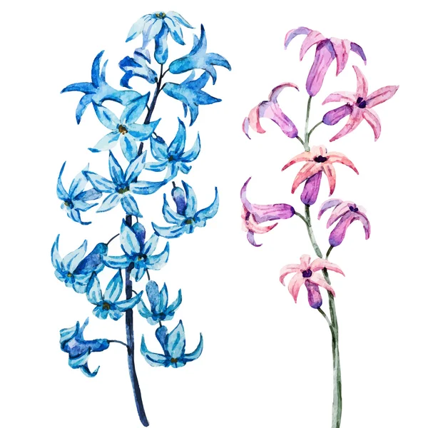 Рука намальовані акварельні квіти — стоковий вектор