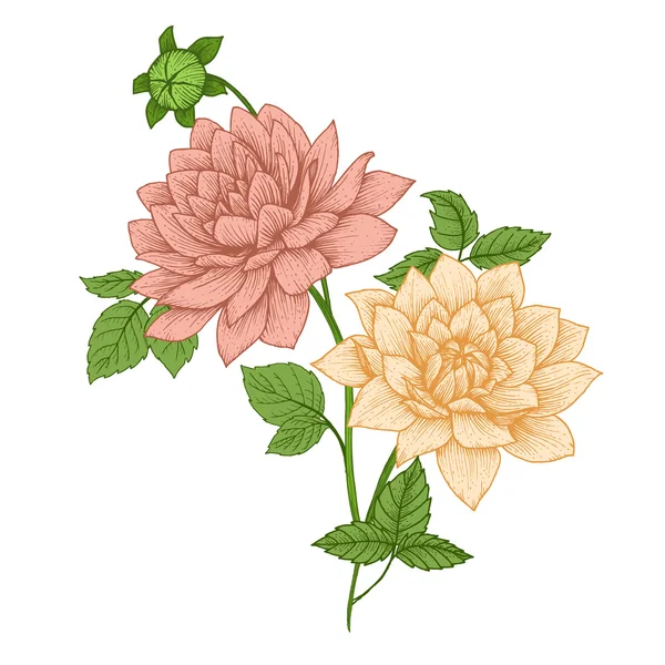 Nice vector flowers Vector Graphics