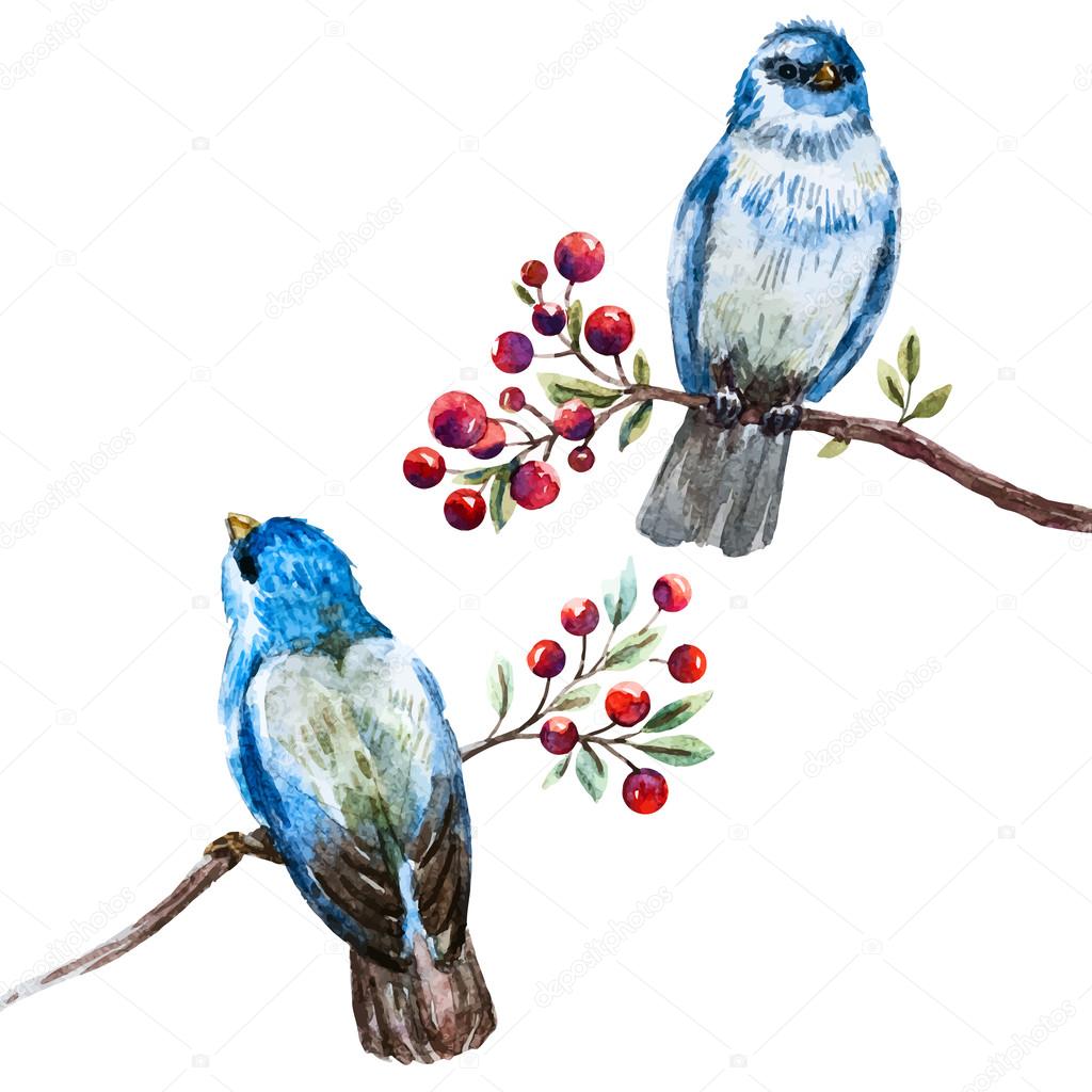 Nice vector watercolor birds