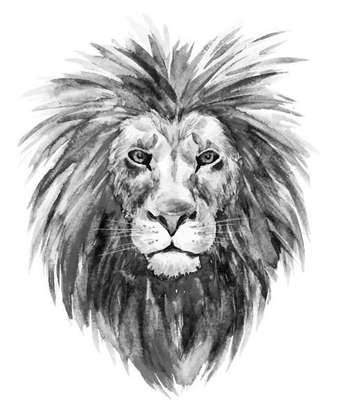 Acuarela vector león — Archivo Imágenes Vectoriales