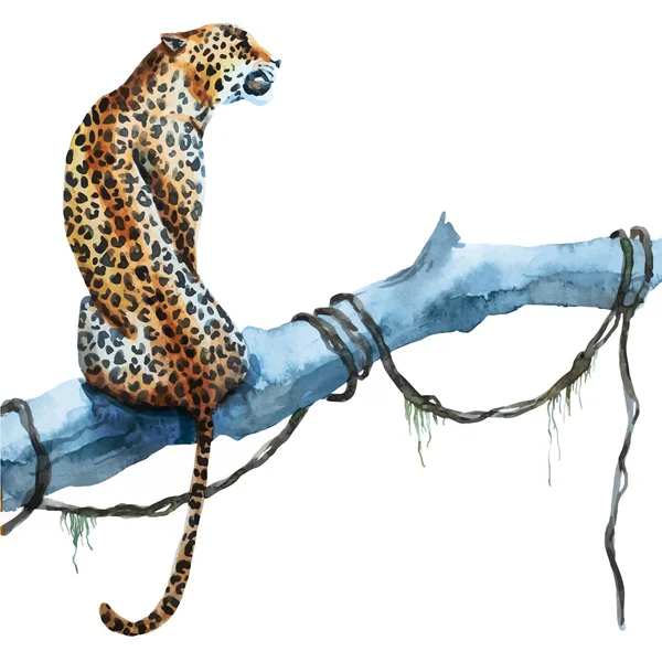Akvarell vektor leopard — Stock vektor