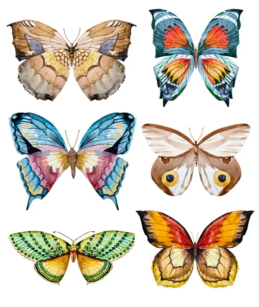 Акварельные растровые бабочки — стоковое фото