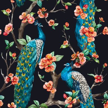 Suluboya raster tavus kuşu desen