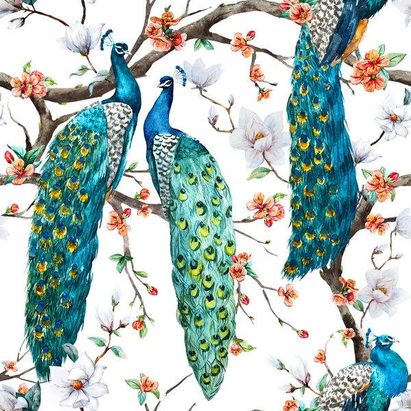 Watercolor raster peacock pattern — Stock Photo, Image