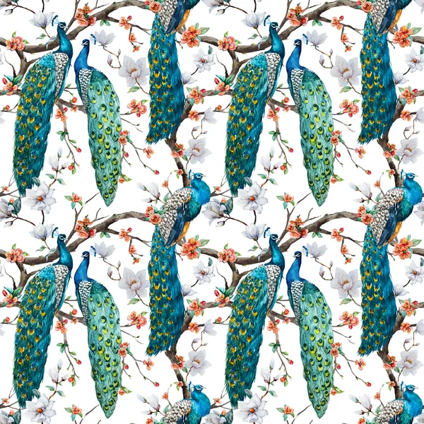 Aquarel raster pauw patroon — Stockfoto