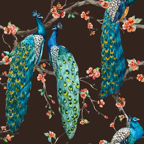 Padrão de pavão aquarela raster — Fotografia de Stock